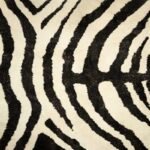 Tapete Zebra da Casa Meva: elegância e exotismo para sua decoração! - Fábrica de Tapetes!